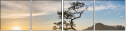 73281378