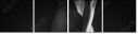 733952604