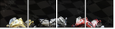 74596122