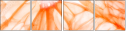 74688264