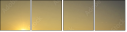 75344366