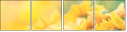 75458724