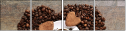 75559293