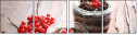 75562705