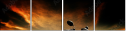 75568726