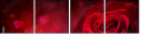 75608886