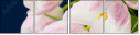 75628486