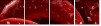 75798905