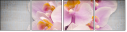 76039609