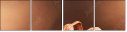76078757