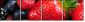 7610026