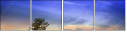 76125130