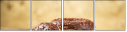 76179517