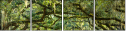 76209403