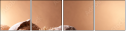 76233113