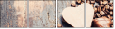 76909323