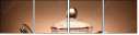 77315677