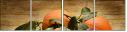 78022660