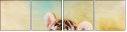 78189357