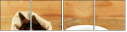 78463599