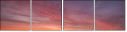 79025069