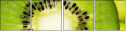 79048317