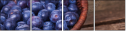 79175349