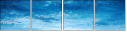 79583406