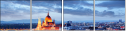81906006