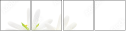 83589495