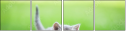 85494718