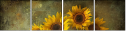 904593686