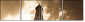 9077030