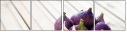 91331406