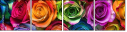 913577319