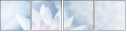 91681750