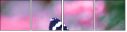 95266681