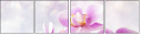 96427255