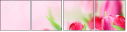 99014278