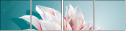 99688374