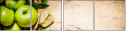 99755521