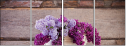 100248002
