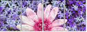 100402580