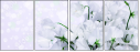 100410214