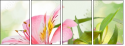100541576