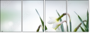 100937622
