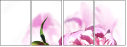 100964675