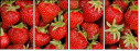 106091