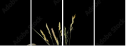 10925882