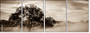 110890468